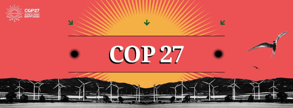 COP27: EL COMPROMISO PARA COMBATIR EL CAMBIO CLIMÁTICO