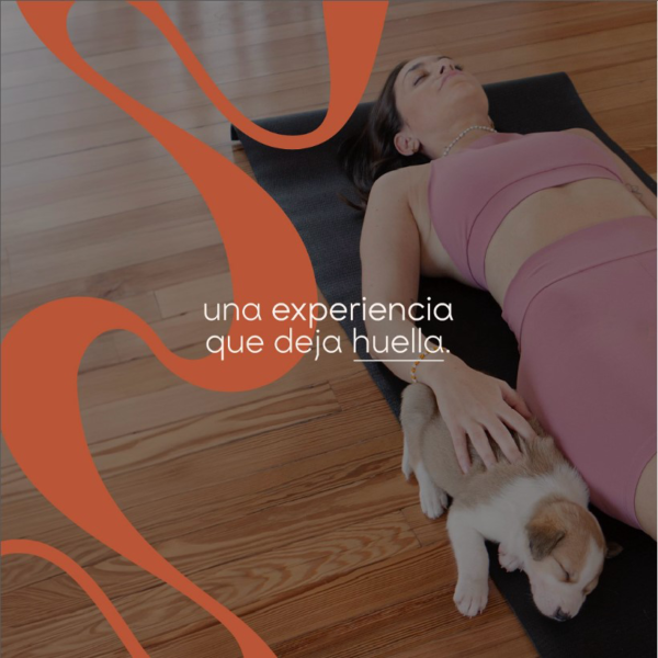 Practicar yoga con perros reduce el estrés y la ansiedad. Fuente: Yoga With Them